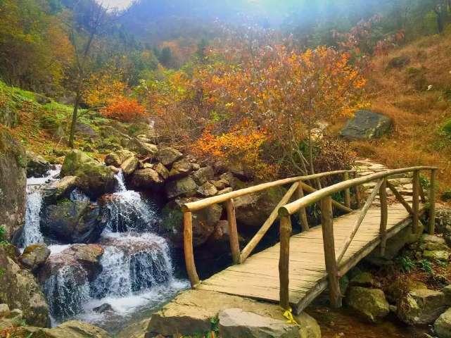 华丽礼帽